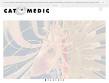 Tablet Screenshot of cat-medic.com